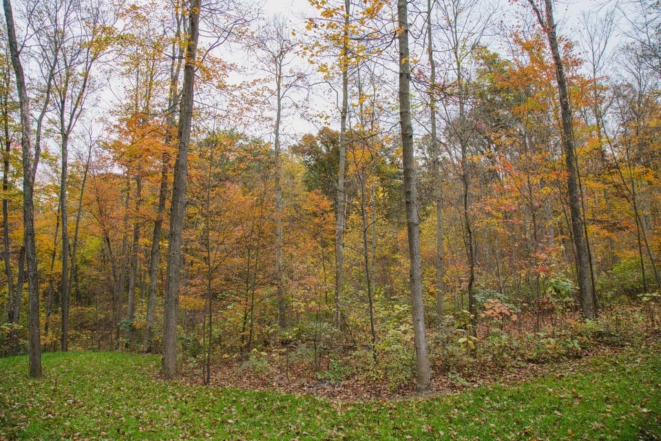 Walk down the road and connect to the Clear Fork Valley Scenic Trail (CFVST) It's a natural corridor of hiking trails located in southern Richland County.  The trail meanders through over 600 acres of nature preserves between Malabar Farm and the Richland B&O Trail. 