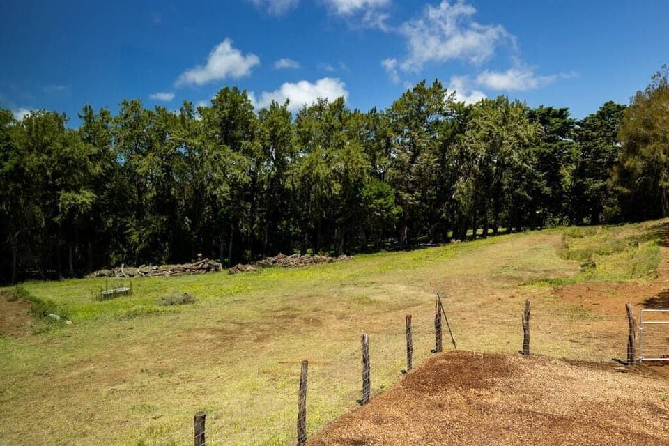 Wake up and open the blinds to ranch lands