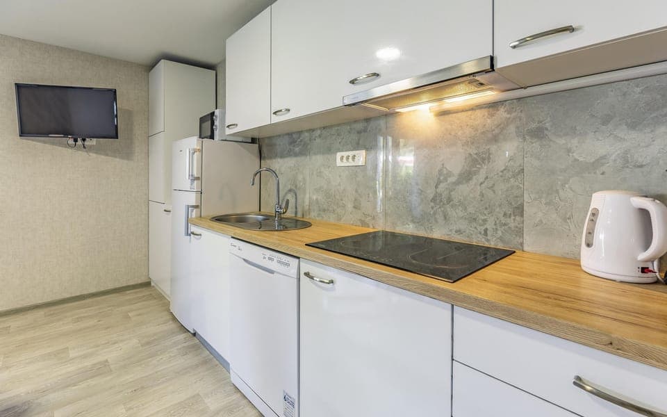 Fridge, stovetop, freezer