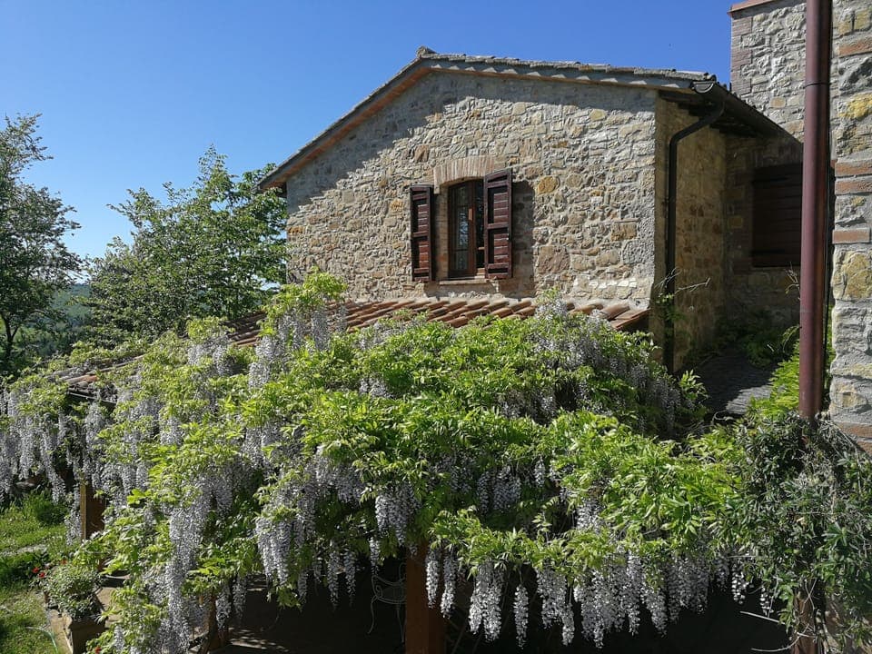 Comfort Cottage, 2 Bedrooms, Non Smoking, Pool View | Terrace/patio