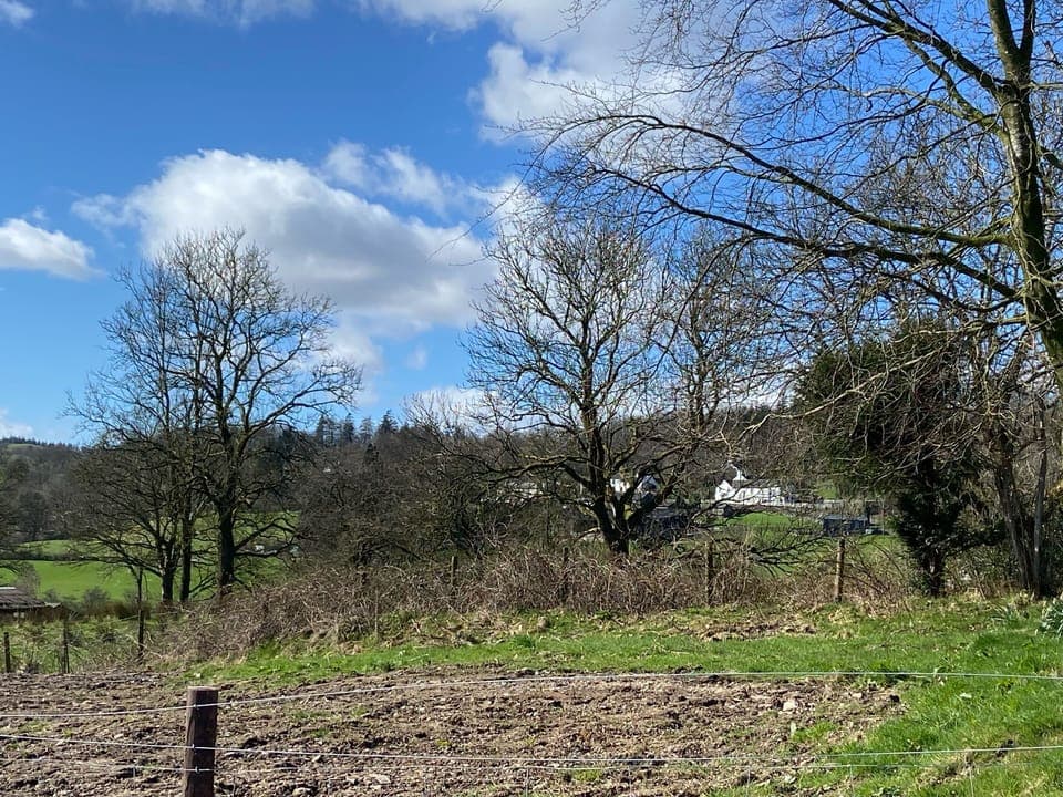 Cottage | Miscellaneous