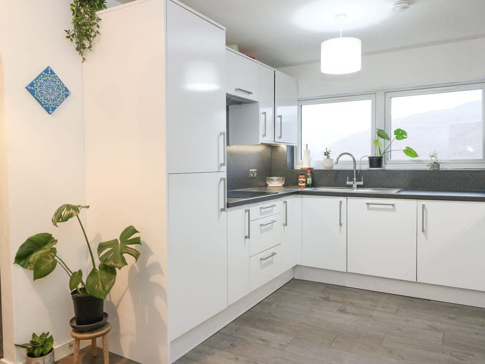 Fridge, dishwasher, cookware/dishes/utensils