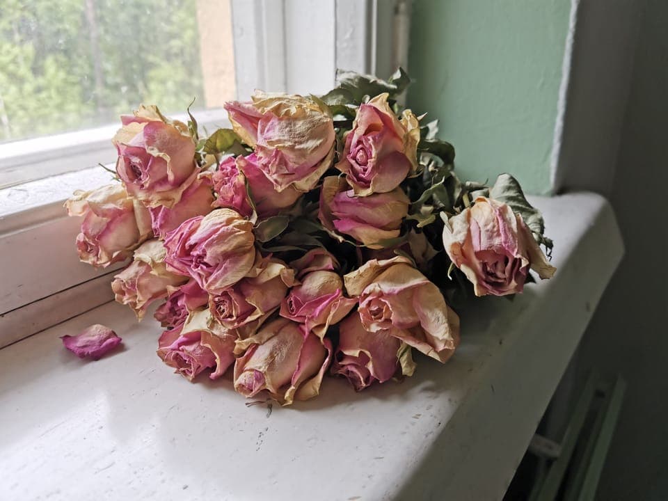 Apartment | Interior detail