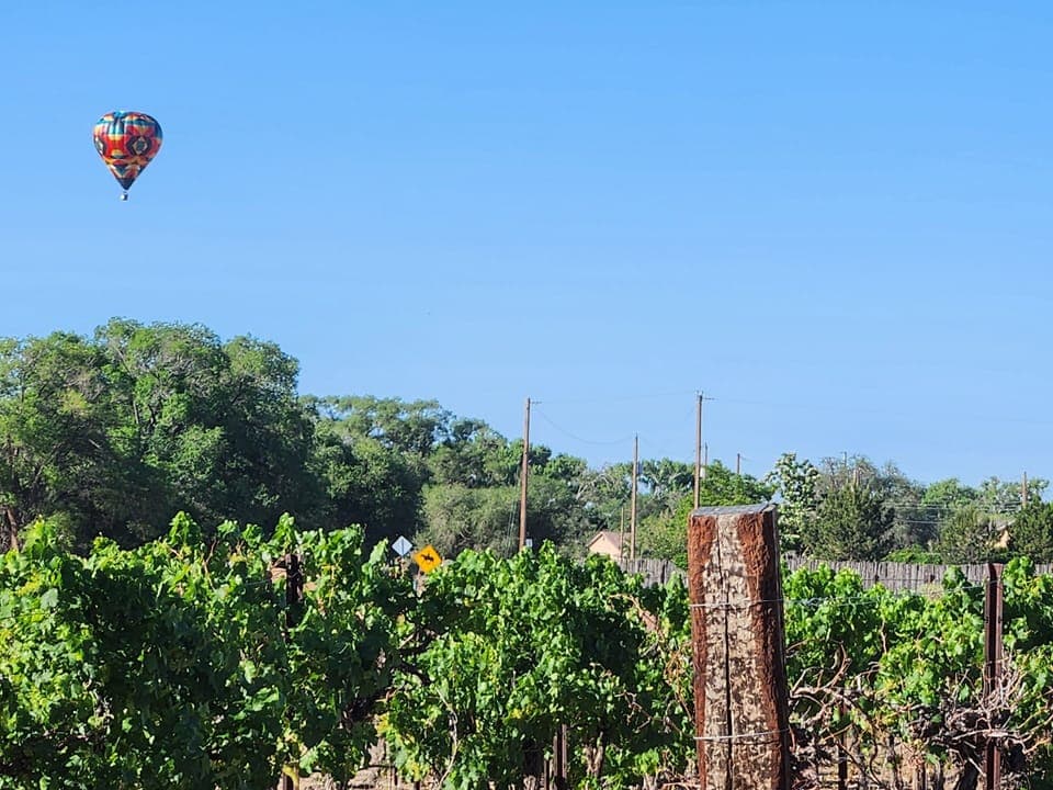 Luxury Double Room, Ensuite, Pool View (Cuarto de Enchantment) | View from property