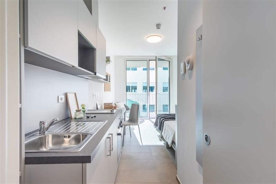 Superior Studio | Private kitchen | Full-size fridge, oven, cookware/dishes/utensils