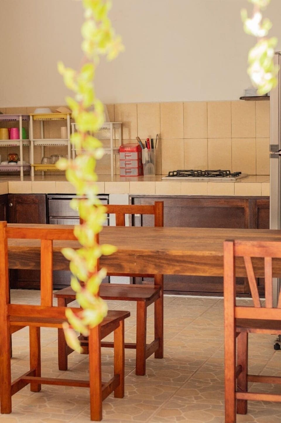 Oven, toaster, blender, cleaning supplies