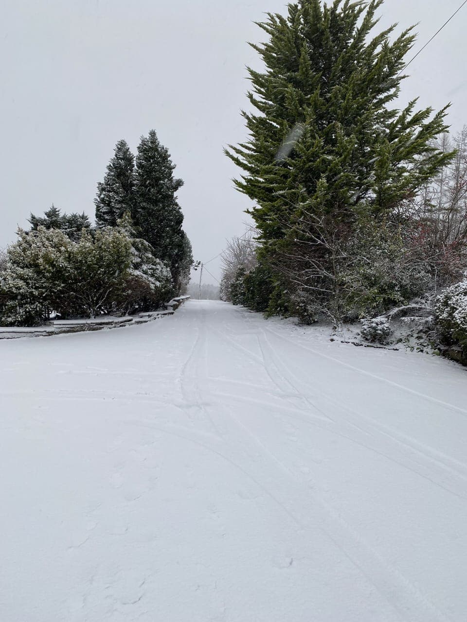 House | Miscellaneous