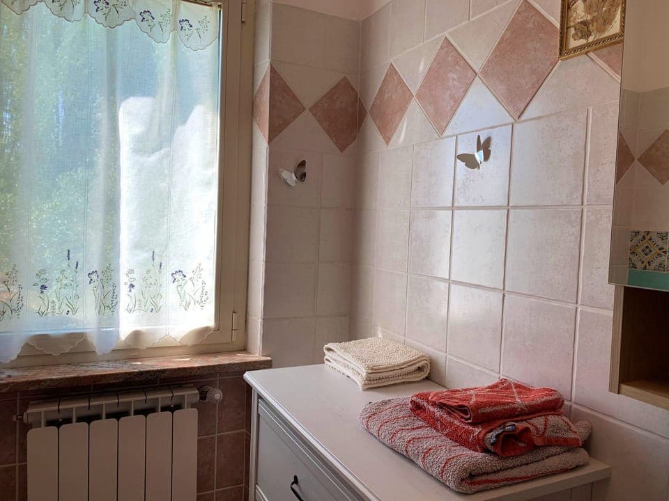 Hair dryer, bidet, soap, shampoo