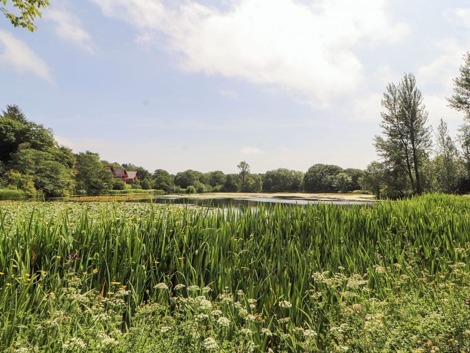 Cottage | Miscellaneous