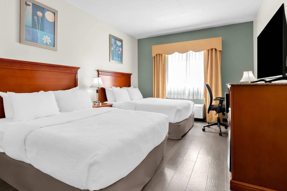 Premium bedding, down comforters, desk, laptop workspace