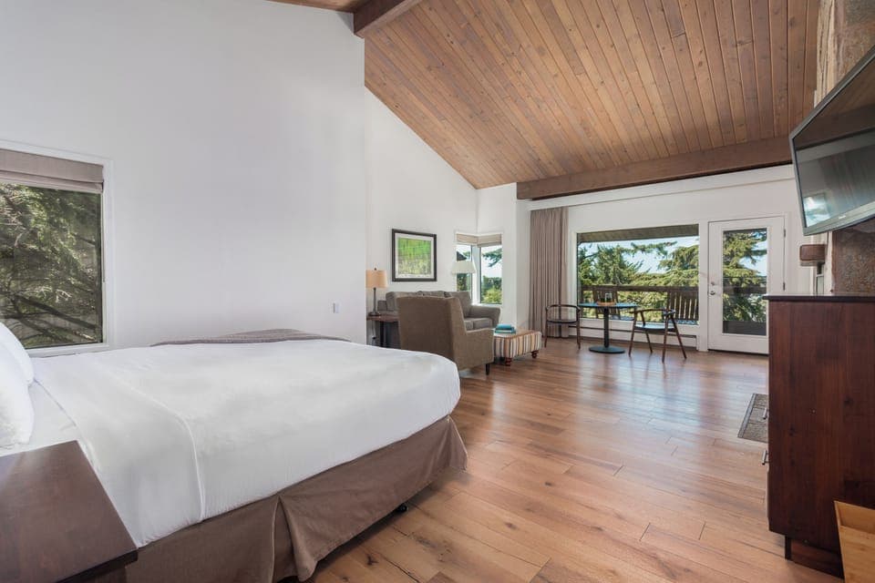 Premium bedding, in-room safe, blackout drapes, iron/ironing board