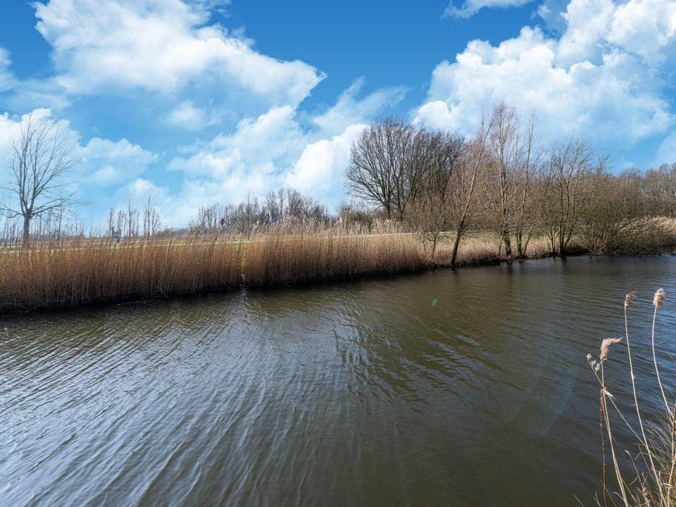 House | View from property