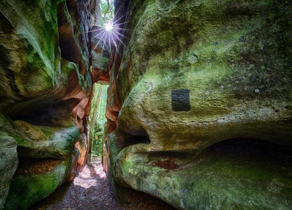 Tent | View from property