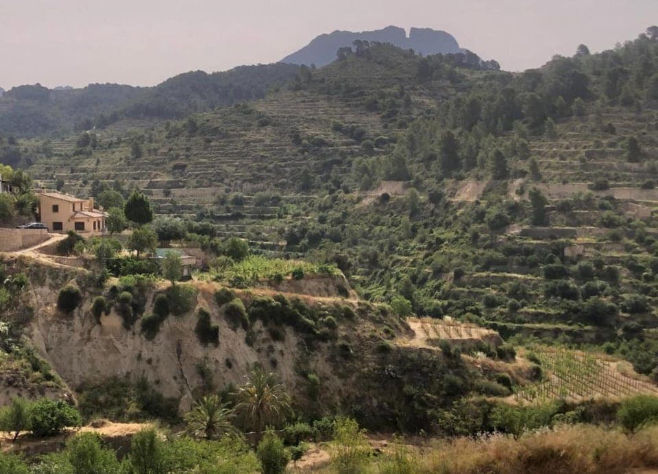 House | View from property