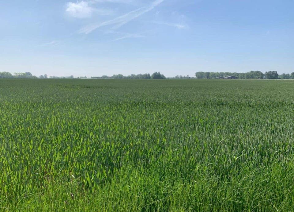 Apartment | View from property