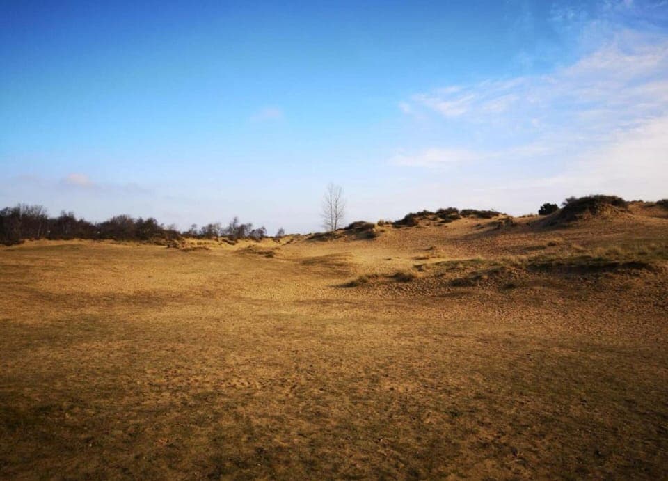 Apartment | View from property