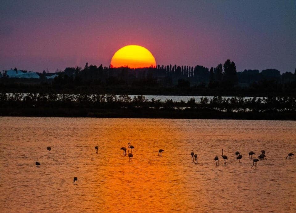 Apartment | View from property