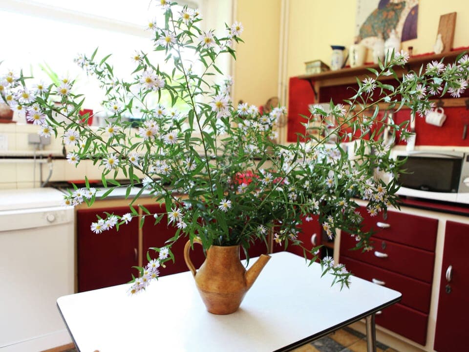 House | Private kitchen | Highchair