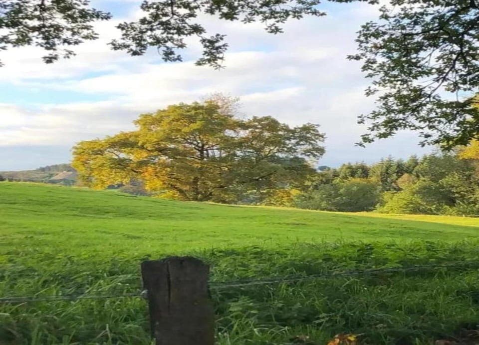 House | View from property