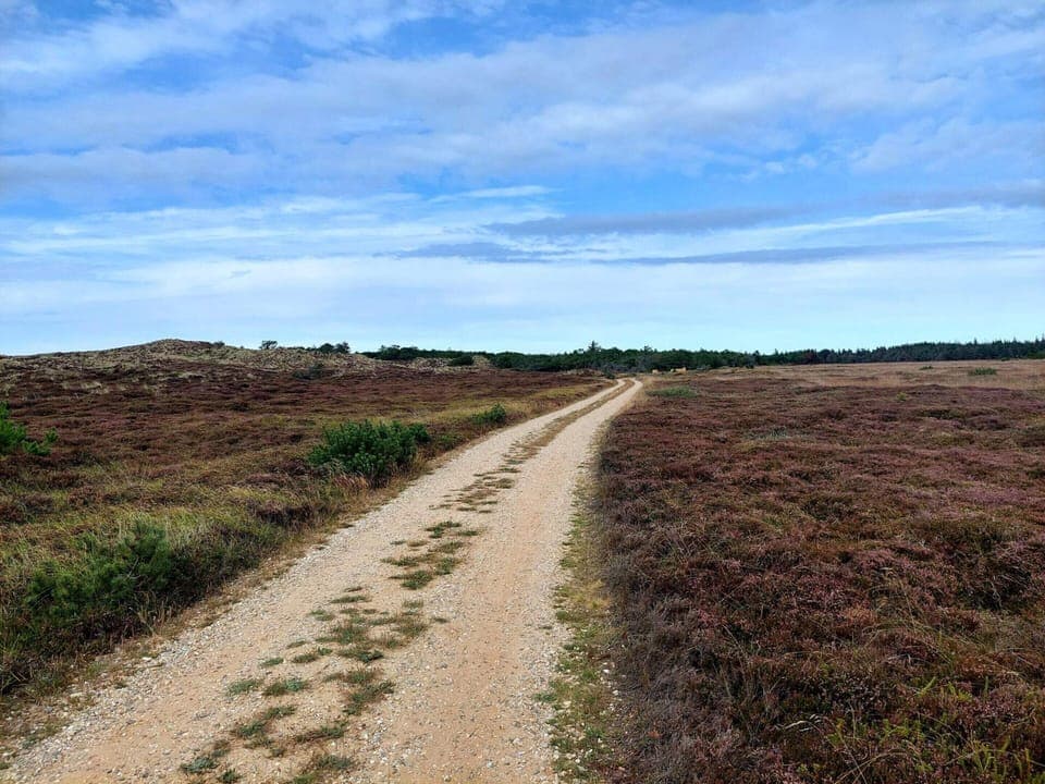 House | Miscellaneous