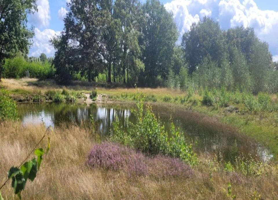 House | View from property