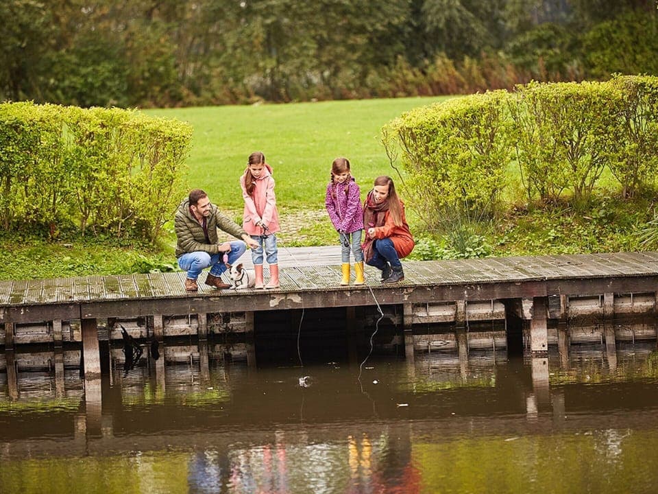 House | Miscellaneous