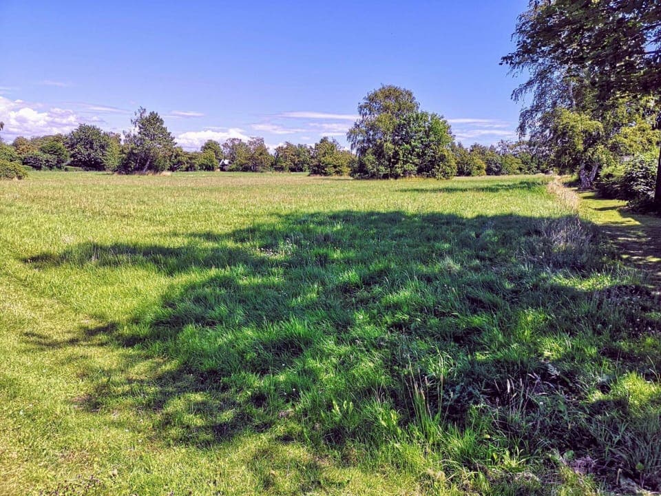 House | Miscellaneous