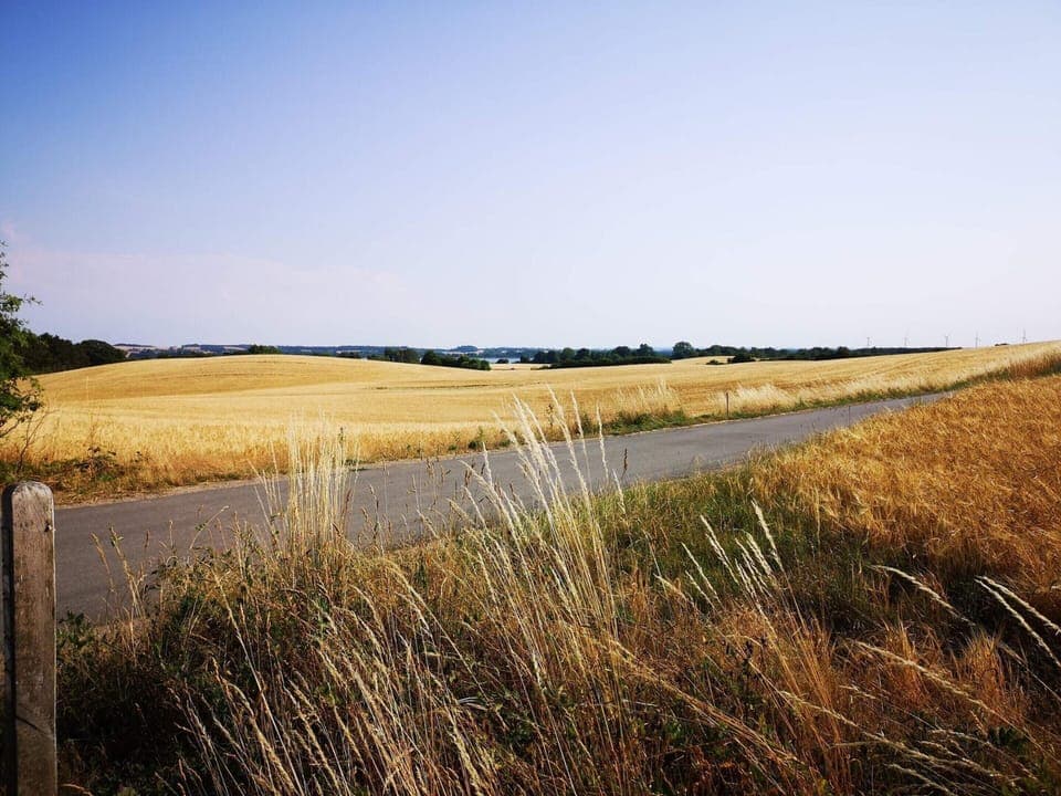 House | Miscellaneous