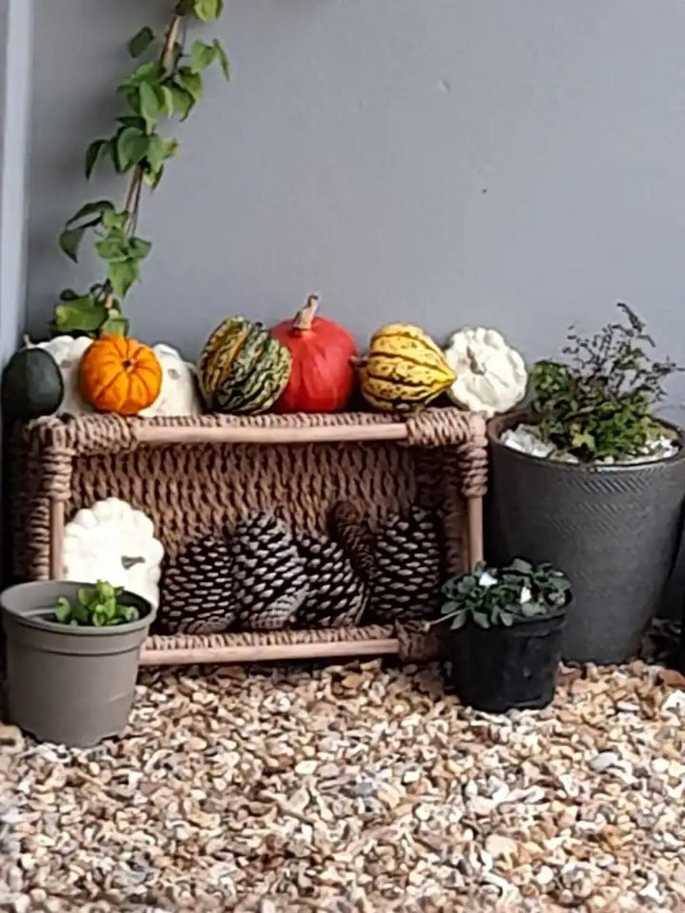 Apartment | Food and drink