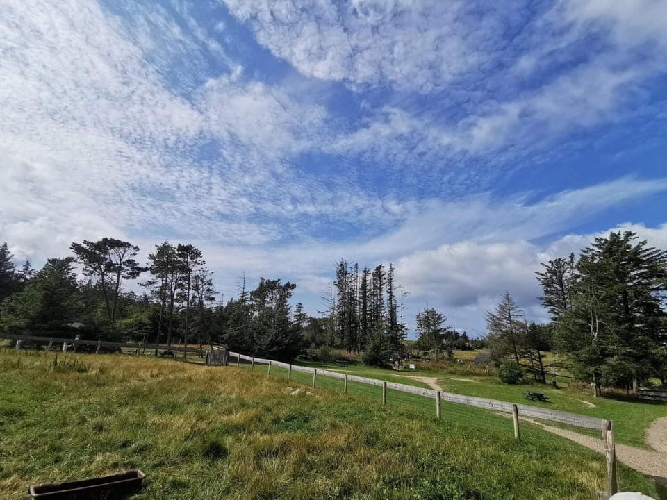 House | Miscellaneous