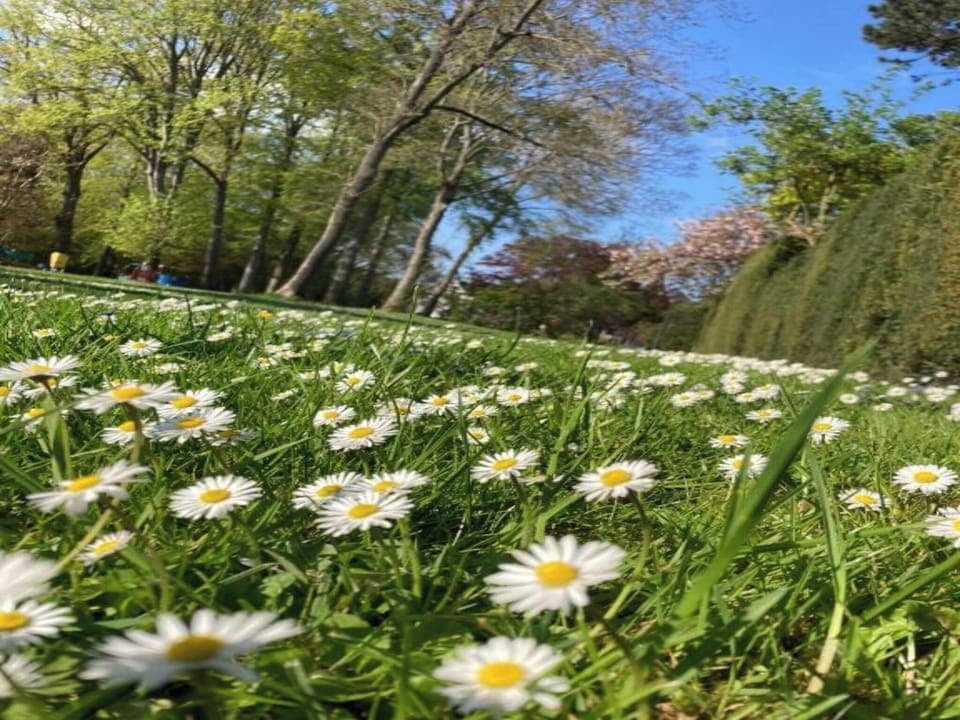 Studio, 1 Bedroom, Smoking | Exterior