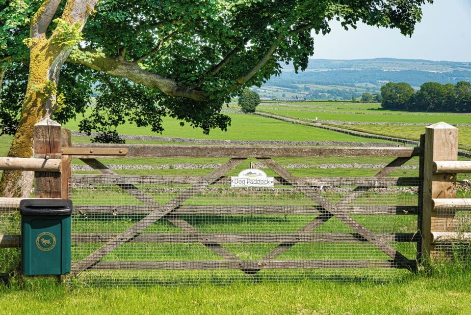 Pet-friendly amenities