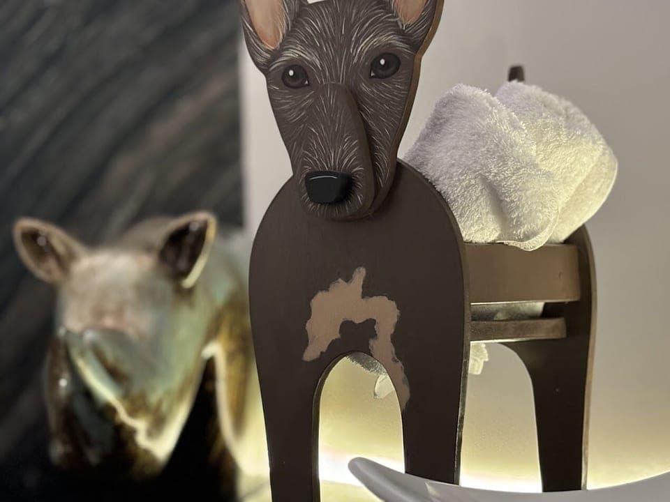 Deluxe Room | Bathroom | Separate tub and shower, rainfall showerhead, free toiletries