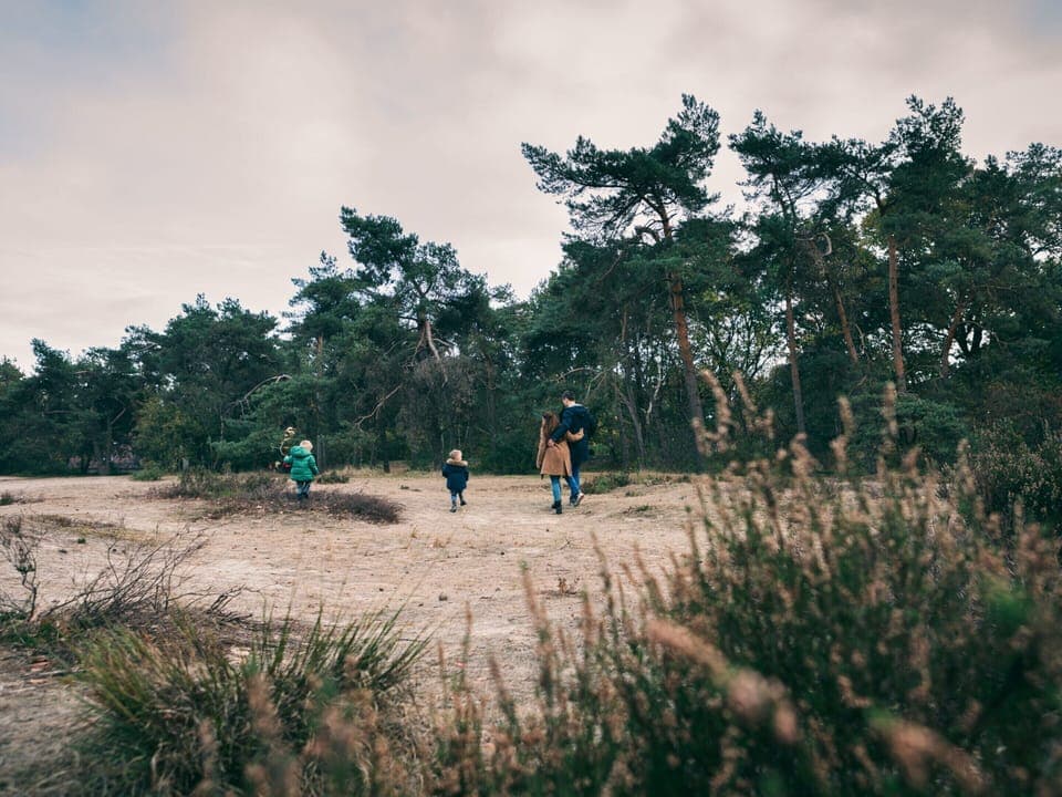 Tent | View from property