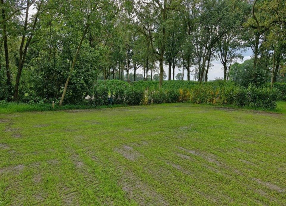 House | View from property