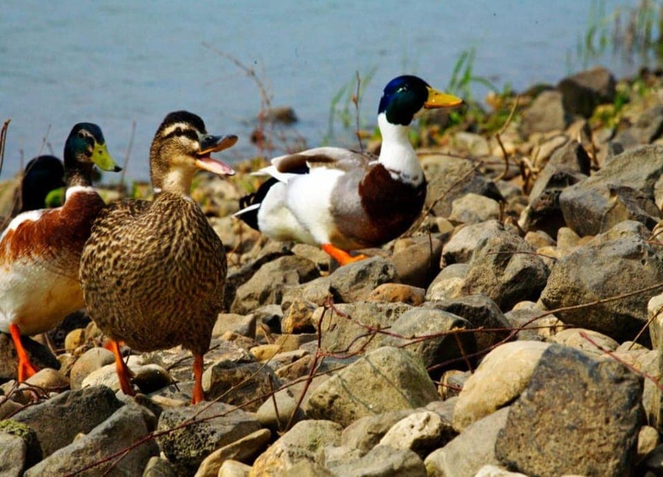 Villa | View from property