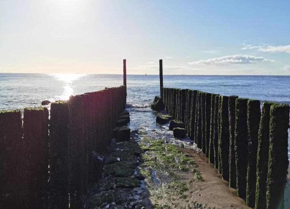 House | View from property