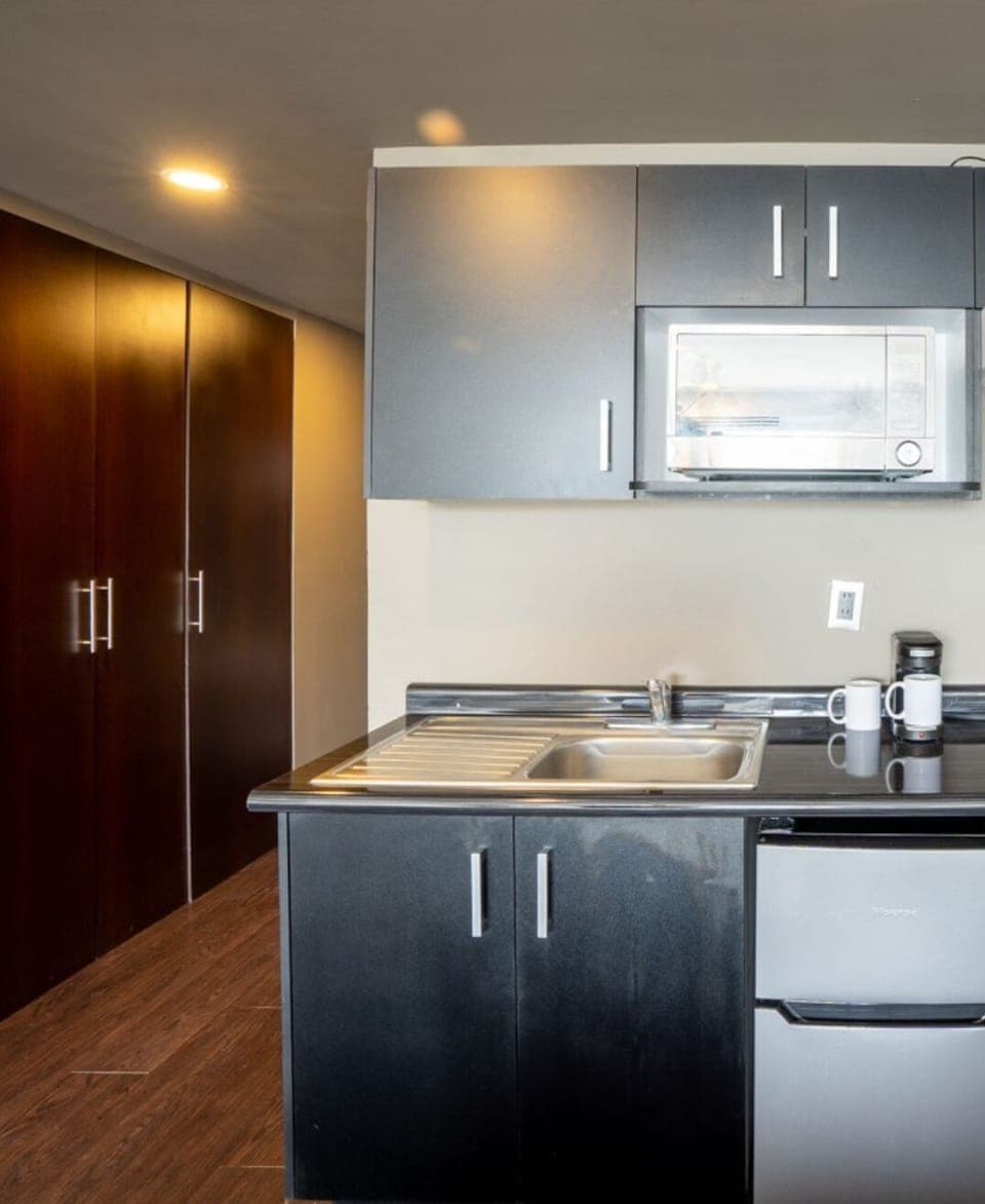 Luxury Apartment, 2 Double Beds, Executive Level | Private kitchenette