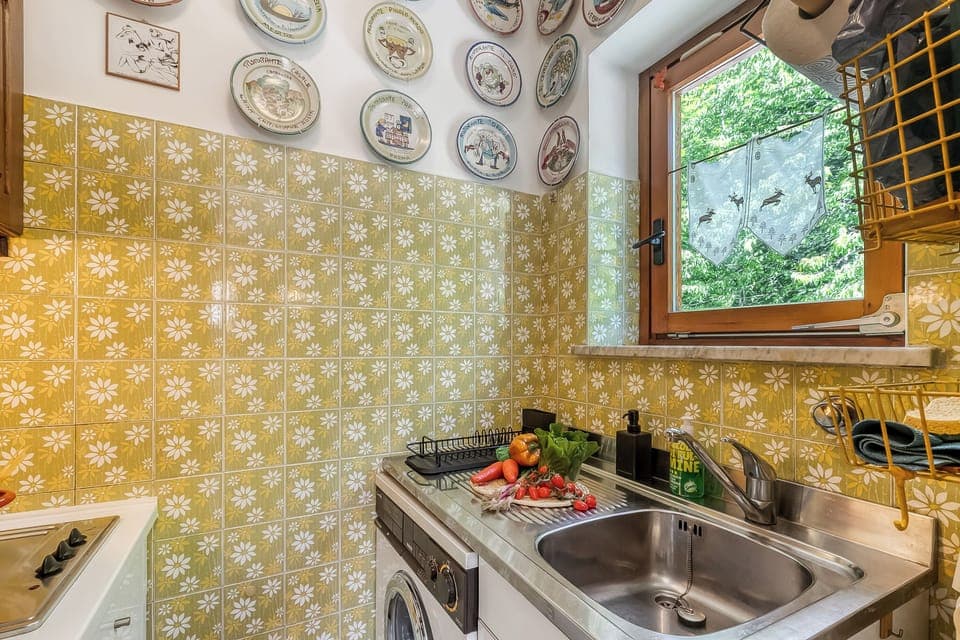 Fridge, microwave, stovetop, cookware/dishes/utensils