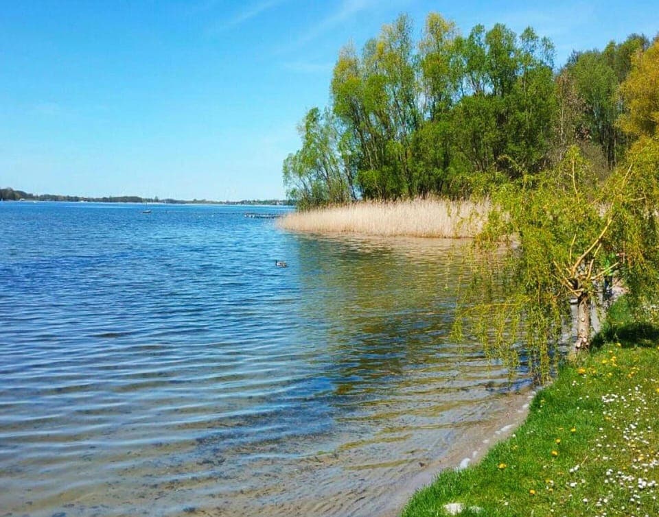 Apartment | View from property