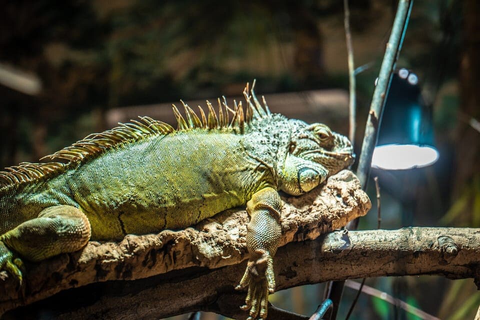 Apartment | Miscellaneous