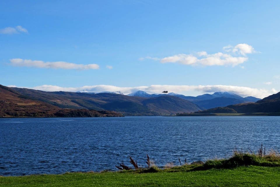 House | Property grounds