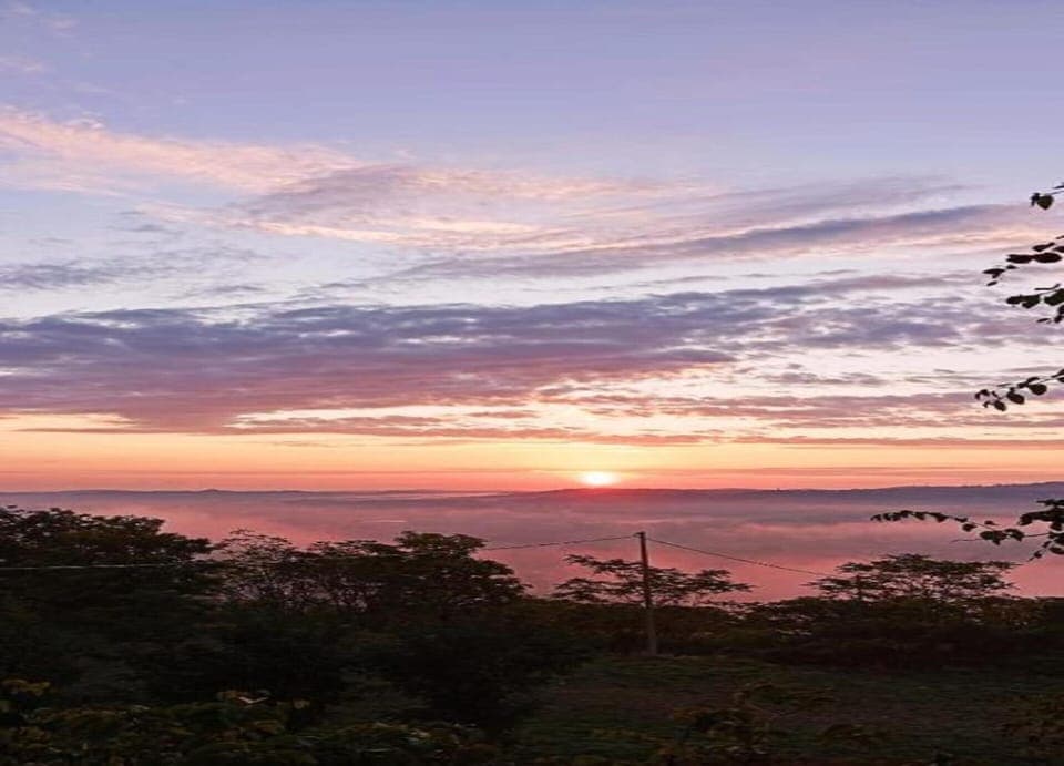 House | View from property