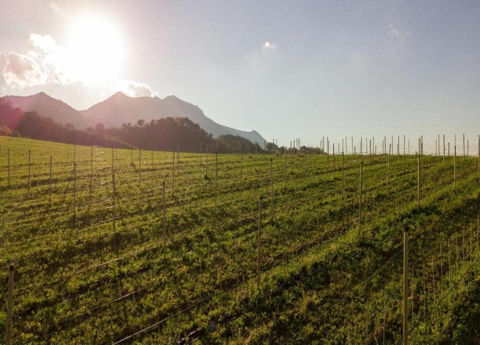 House | View from property