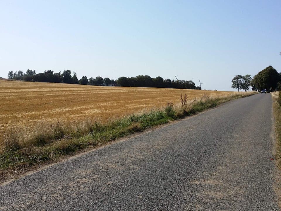 House | Miscellaneous