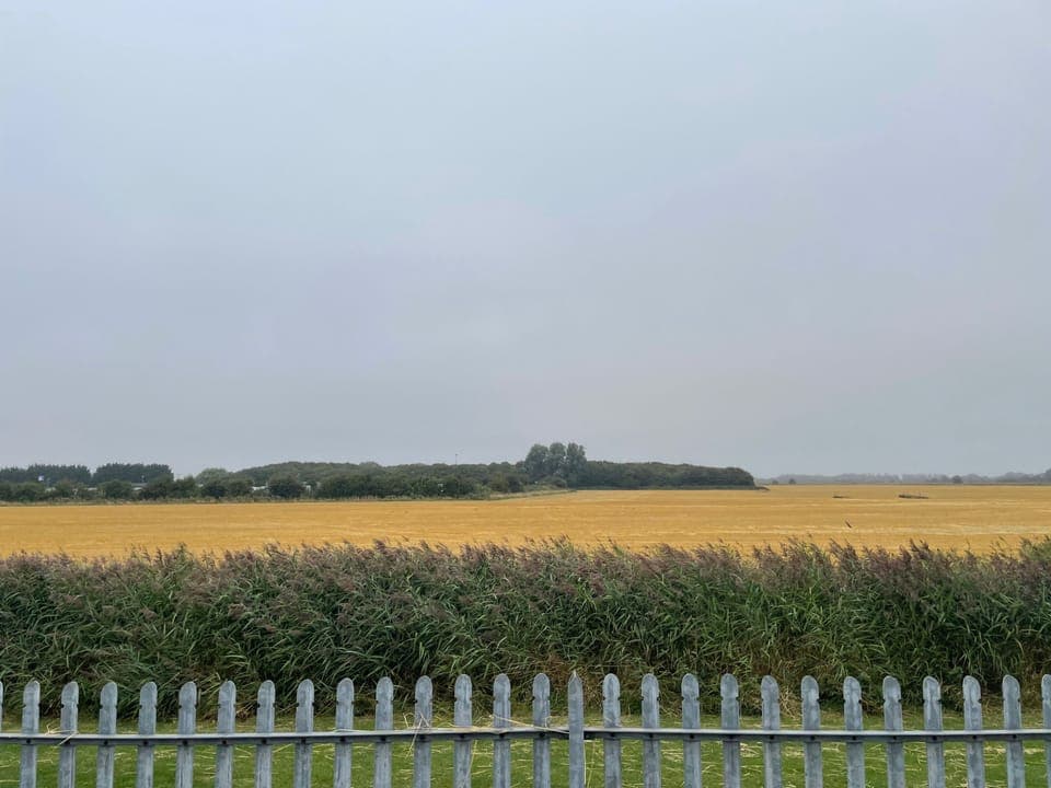 Cabin | Miscellaneous