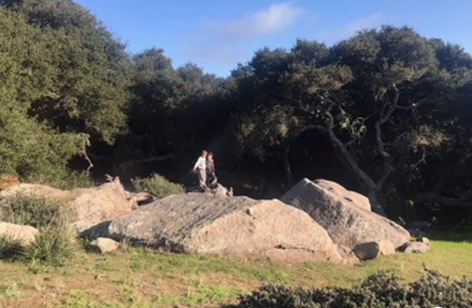 House, 6 Bedrooms | Miscellaneous