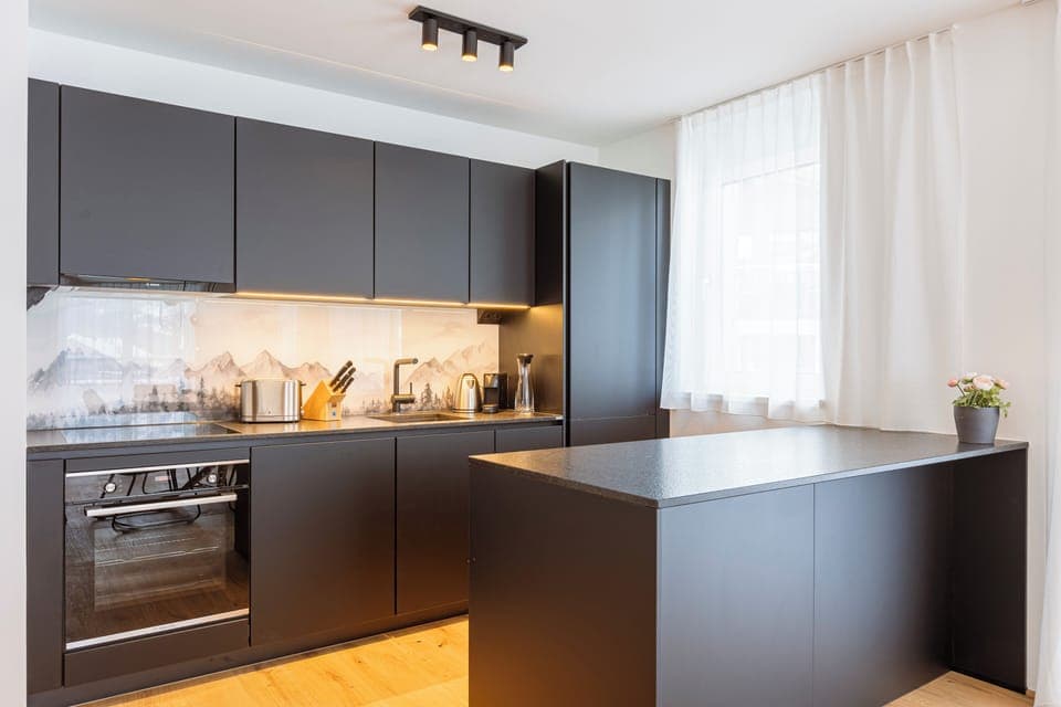 Full-size fridge, oven, stovetop, dishwasher