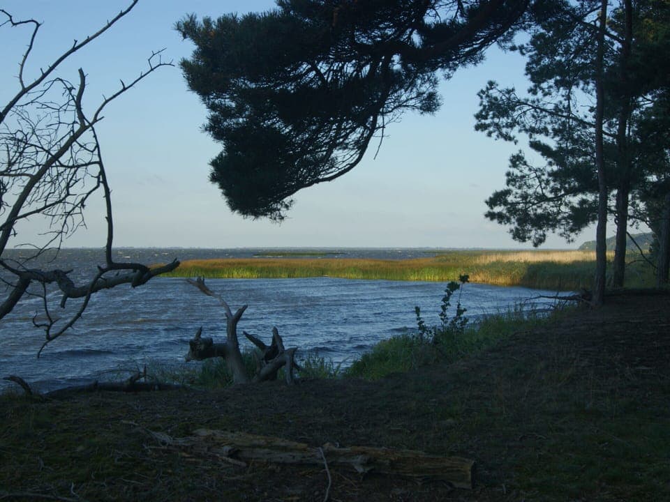 House | Property grounds