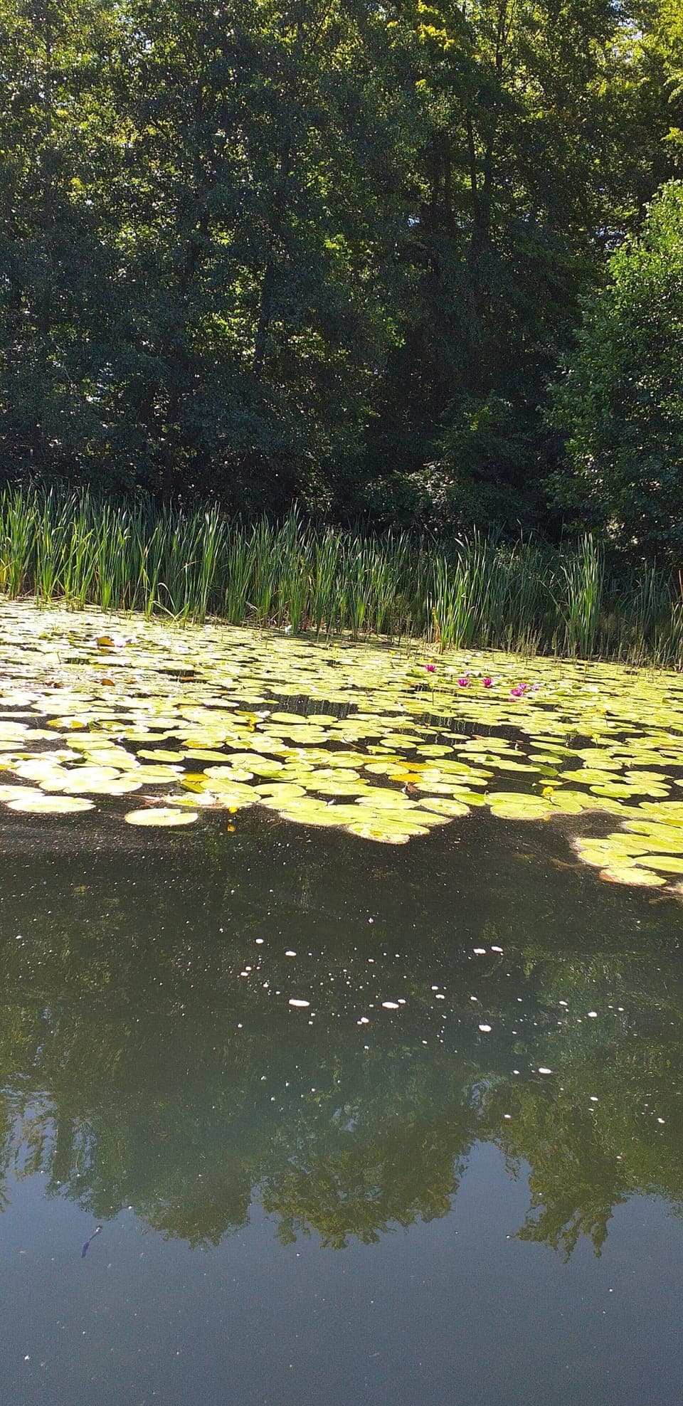 House | View from property